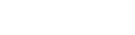 Pecini Despachante — Assessoria Documental